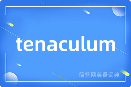 tenaculum是什么意思,tenaculum的中文翻译 tenaculum