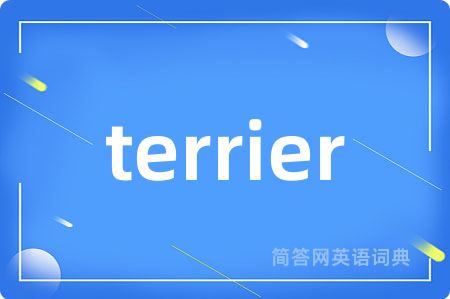 terrier
