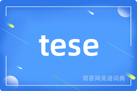 tese是什么意思,tese的中文翻译 tese
