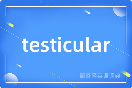 testicular是什么意思,testicular的中文翻译 testicular