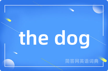 the dog