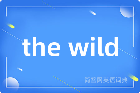 the wild是什么意思,the wild的中文翻译 the wild