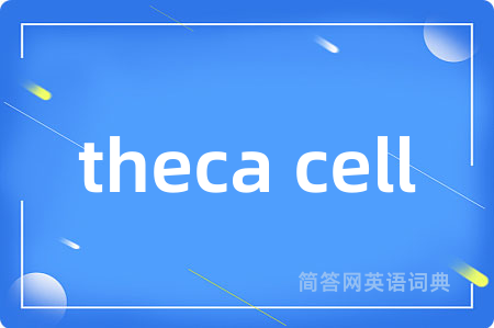 theca cell是什么意思,theca cell的中文翻译 theca cell