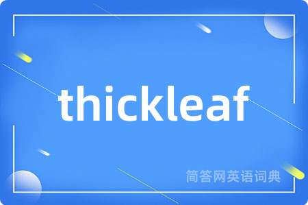 thickleaf是什么意思,thickleaf的中文翻译 thickleaf