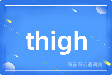 thigh