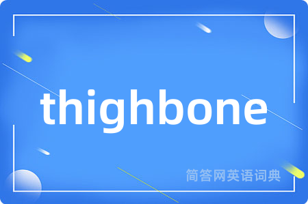 thighbone是什么意思,thighbone的中文翻译 thighbone