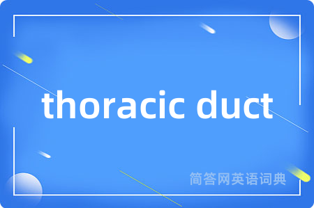 thoracic duct