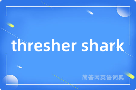 thresher shark