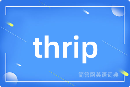 thrip