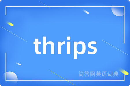 thrips