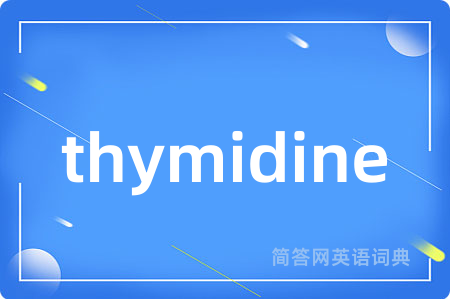 thymidine