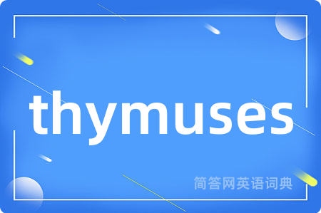 thymuses是什么意思,thymuses的中文翻译 thymuses