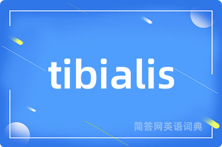 tibialis是什么意思,tibialis的中文翻译 tibialis