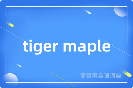 tiger maple