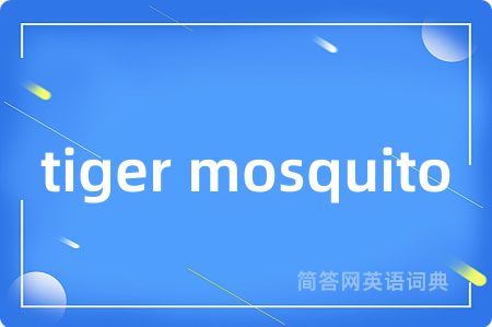 tiger mosquito