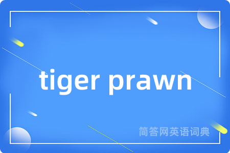 tiger prawn