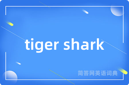 tiger shark