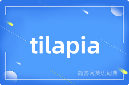tilapia