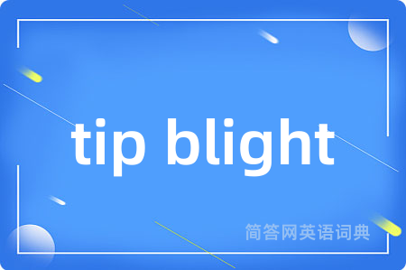 tip blight