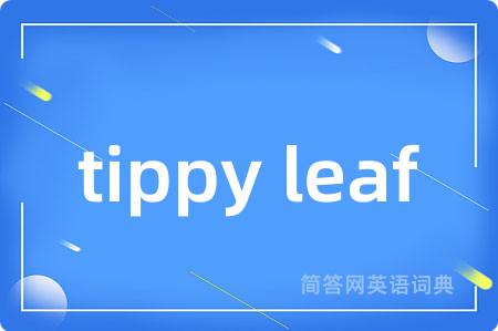 tippy leaf是什么意思,tippy leaf的中文翻译 tippy leaf