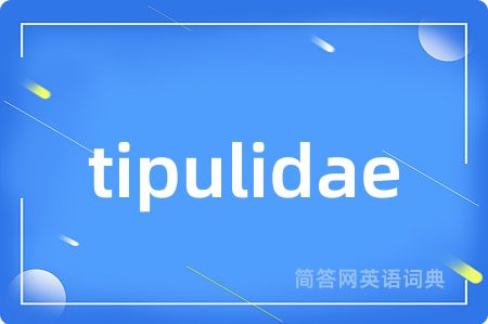 tipulidae