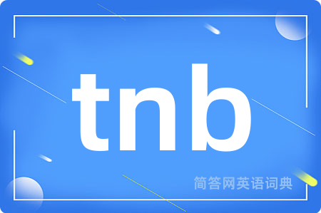 tnb是什么意思,tnb的中文翻译 tnb
