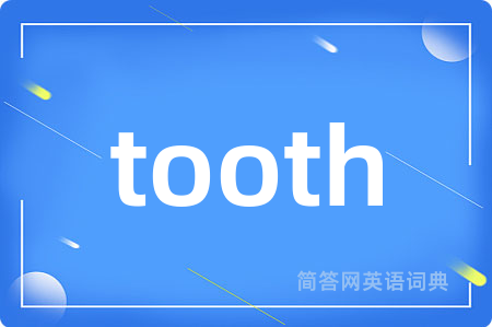 tooth是什么意思,tooth的中文翻译 tooth
