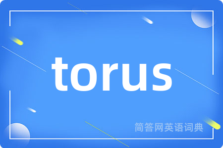 torus是什么意思,torus的中文翻译 torus