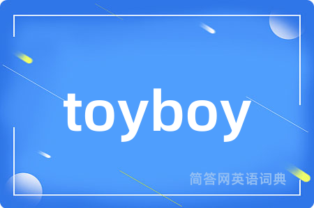 toyboy是什么意思,toyboy的中文翻译 toyboy