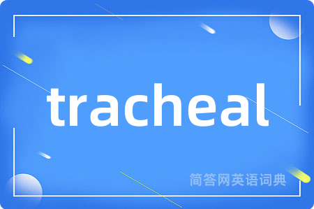 tracheal是什么意思,tracheal的中文翻译 tracheal