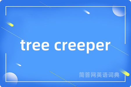 tree creeper
