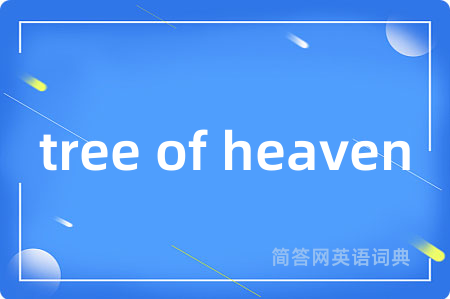 tree of heaven是什么意思,tree of heaven的中文翻译 tree of heaven