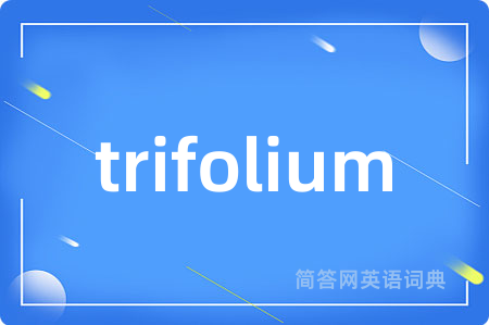trifolium