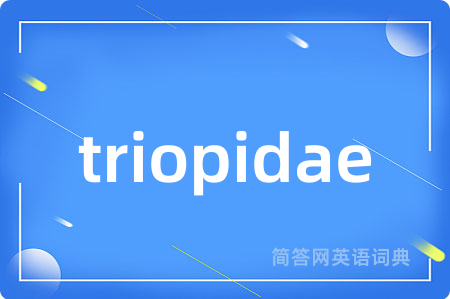triopidae是什么意思,triopidae的中文翻译 triopidae