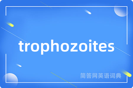 trophozoites