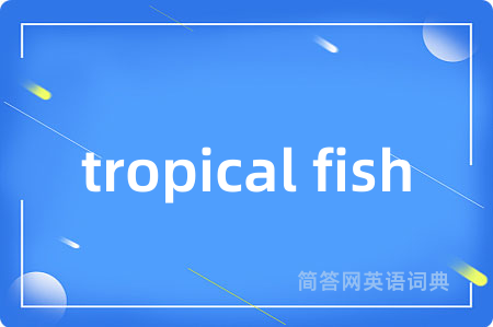 tropical fish是什么意思,tropical fish的中文翻译 tropical fish