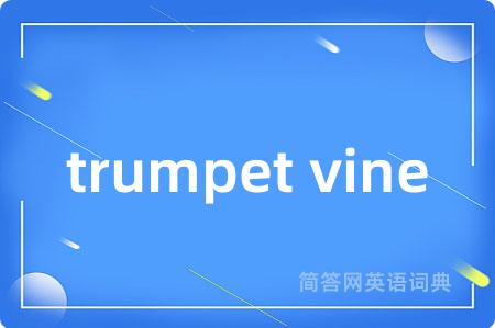 trumpet vine