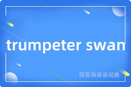 trumpeter swan