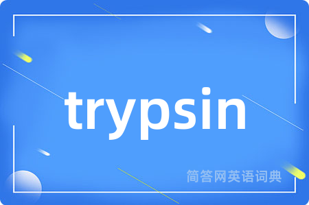trypsin是什么意思,trypsin的中文翻译 trypsin
