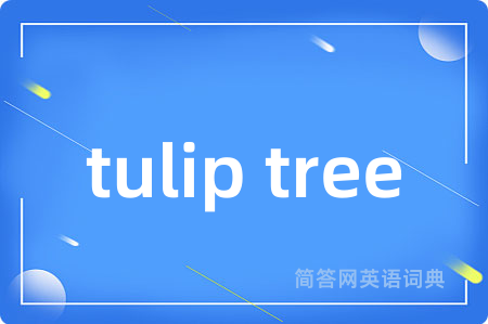 tulip tree是什么意思,tulip tree的中文翻译 tulip tree