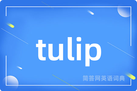 tulip