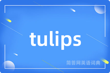 tulips是什么意思,tulips的中文翻译 tulips