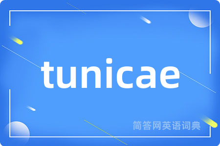 tunicae是什么意思,tunicae的中文翻译 tunicae