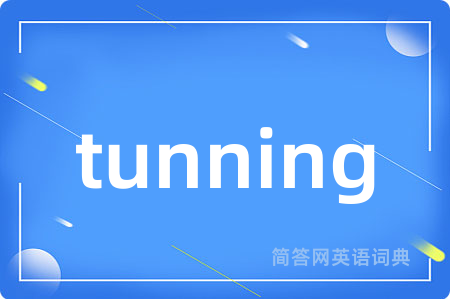 tunning是什么意思,tunning的中文翻译 tunning