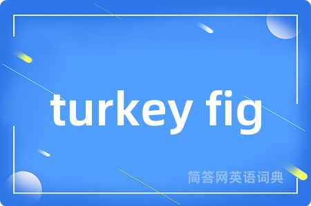 turkey fig是什么意思,turkey fig的中文翻译 turkey fig