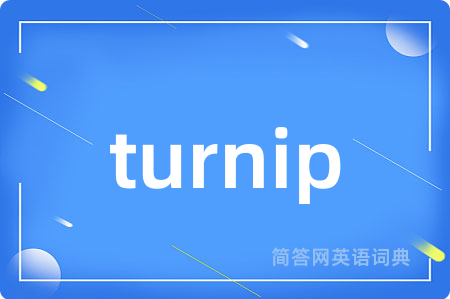turnip