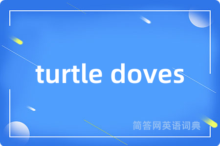 turtle doves是什么意思,turtle doves的中文翻译 turtle doves