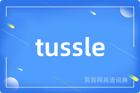 tussle是什么意思,tussle的中文翻译 tussle