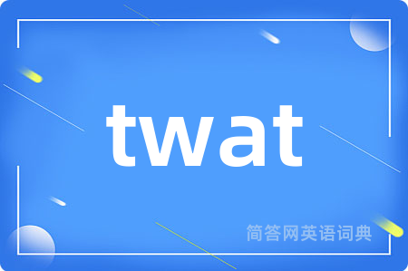 twat是什么意思,twat的中文翻译 twat