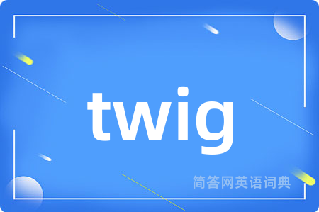 twig是什么意思,twig的中文翻译 twig